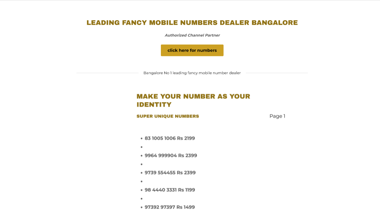 Outdated website before redesign